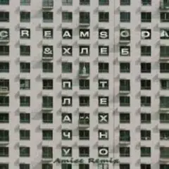 Обложка трека Плачу на техно (Amice rmx)
