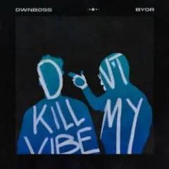 Обложка трека Don't Kill My Vibe (feat. BYOR)