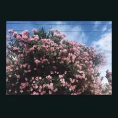 Обложка трека Happy In Your Head