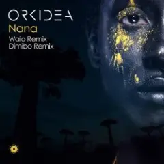 Обложка трека Nana (Waio Remix)