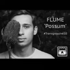 Обложка трека Possum