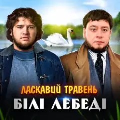 Обложка трека Білі лебеді