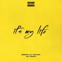 Эндшпиль & TumaniYO — It's My Life