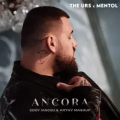 Обложка трека Ancora (Eddy Ianceu & Arthy Mashup)