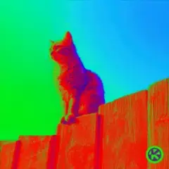 Обложка трека Curiosity