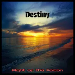 Обложка трека Destiny (Radio edit)