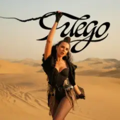 Обложка трека Fuego