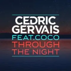 Обложка трека Through The Night (Radio Edit)