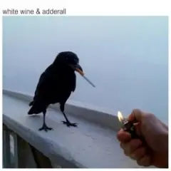 Обложка трека White Wine & Adderall