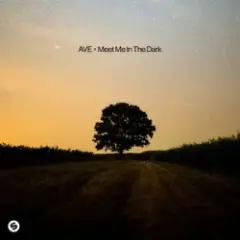 Обложка трека Meet Me In The Dark