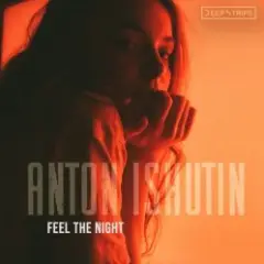 Обложка трека Into The Night