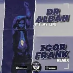 It's My Life (Igor Frank Radio Remix)