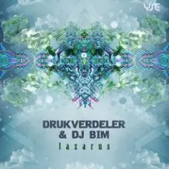 Обложка трека Type 1 (Drukverdeler & DJ Bim Remix)