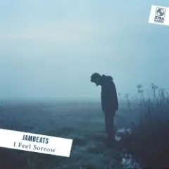Обложка трека I Feel Sorrow