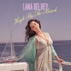 Обложка трека High By The Beach (TNFR! Tour Studio Version)