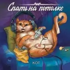 Обложка трека Кот