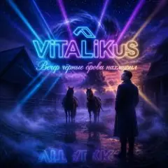 ViTaLiKuS — Вечер чёрные брови нахмурил…