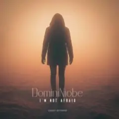 Обложка трека Where the Light Goes Dim (Radio Edit)