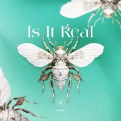 Обложка трека Is It Real (Extended Mix)