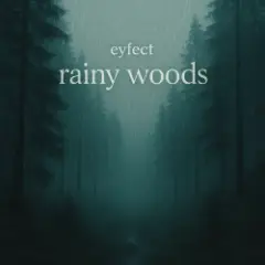 Обложка трека rainy woods