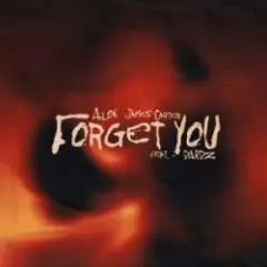 Обложка трека Forget You