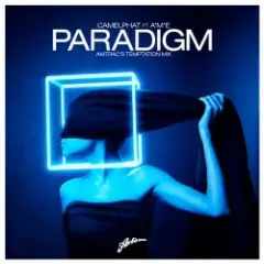 Обложка трека Paradigm (Amtrac's Temptation Mix)