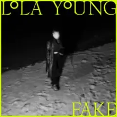 Fake