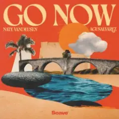 Обложка трека Go Now