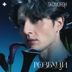 SKOMOROH — Розбуди