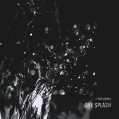 Обложка трека THE SPLASH