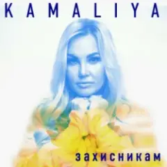 Обложка трека Захисникам