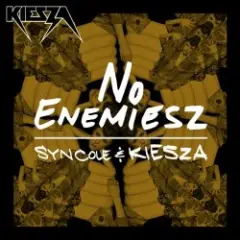 Обложка трека No Enemiesz (Original Mix)