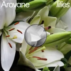 Обложка трека Pink Lilies