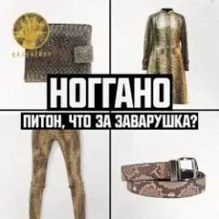 Обложка трека Питон, что за заварушка