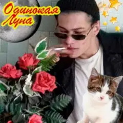 Обложка трека Одинокая луна