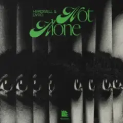 Hardwell & Dyro — Not Alone