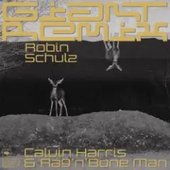 Robin Schulz — Intro