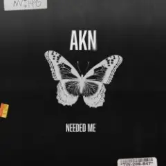 Обложка трека Needed Me