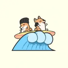 Обложка трека Surf