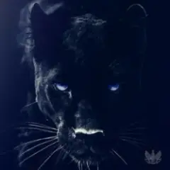 Обложка трека Black Panther