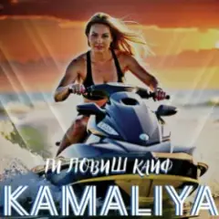 Обложка трека Ти ловиш кайф