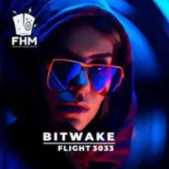 Обложка трека Flight 3033