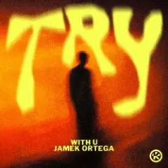 Обложка трека Try