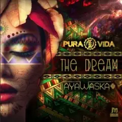 Обложка трека The Dream