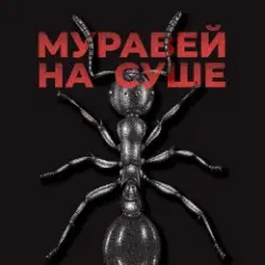 Обложка трека Муравей на суше