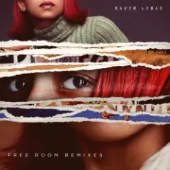 Free Room (Froyo Ma Remix)