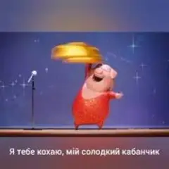 Обложка трека Я тебе кохаю мiй солодкий кабанчик