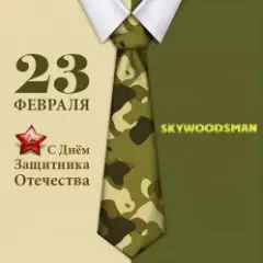 Обложка трека 23 февраля