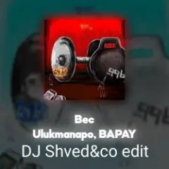 Обложка трека Вес (DJ Shved&co EDIT)