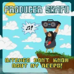 Обложка трека Bitches Don't Know Bout My Beeps